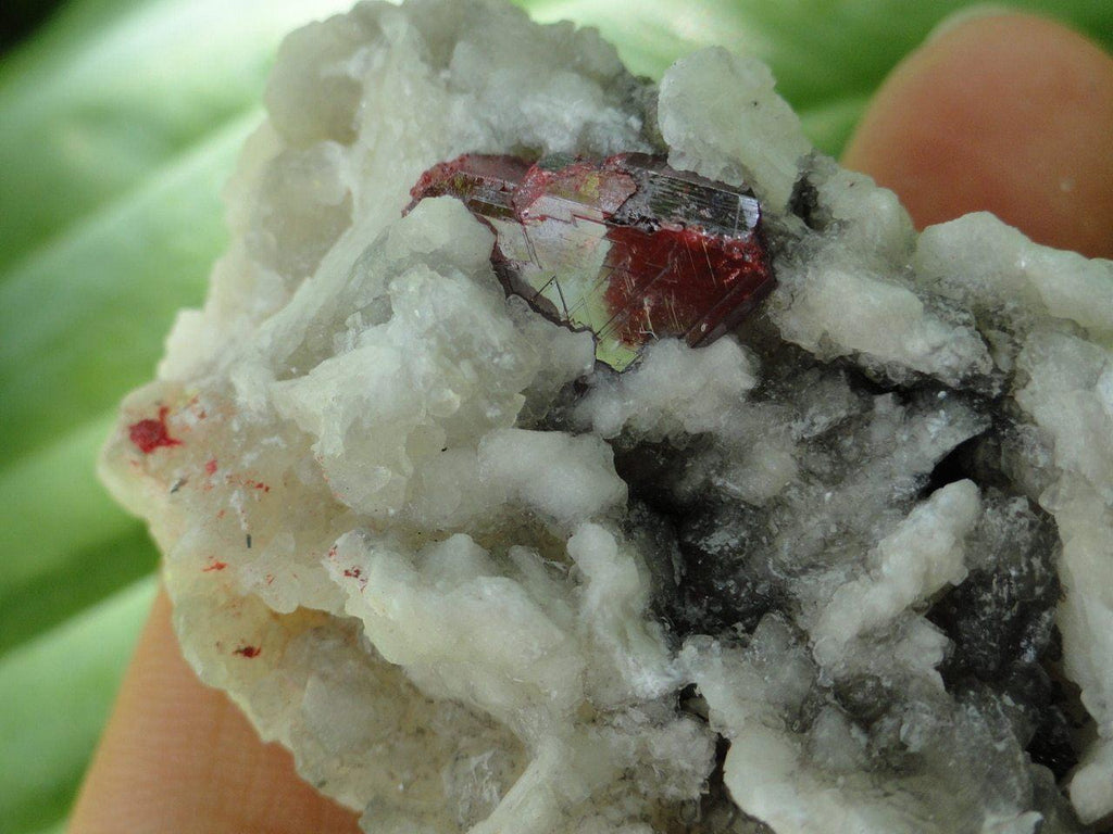 CINNABAR With Record Keepers on Quartz Matrix~ Stone of Manifestation, Wealth Creation,Awakening Mystic Vision* - Earth Family Crystals