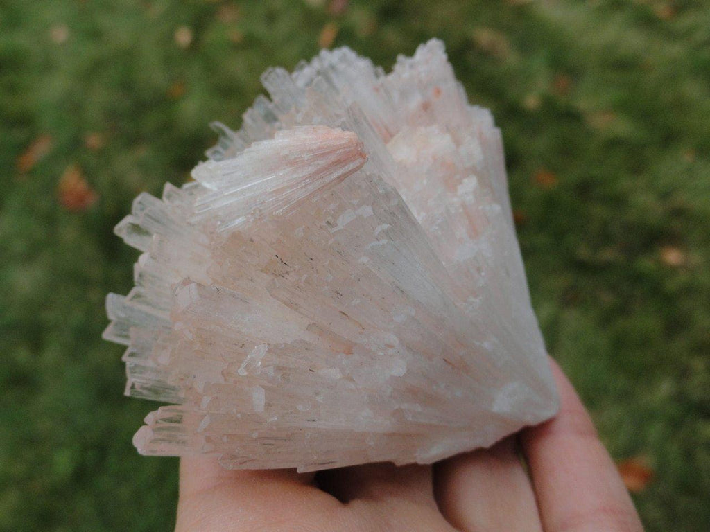 Incredible Peach Pink SCOLECITE FAN - Earth Family Crystals