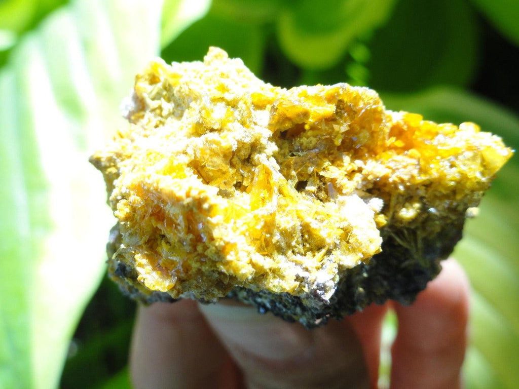 WULFENITE SPECIMEN ~ Stone of Artistic Creativity, Inspiration* - Earth Family Crystals