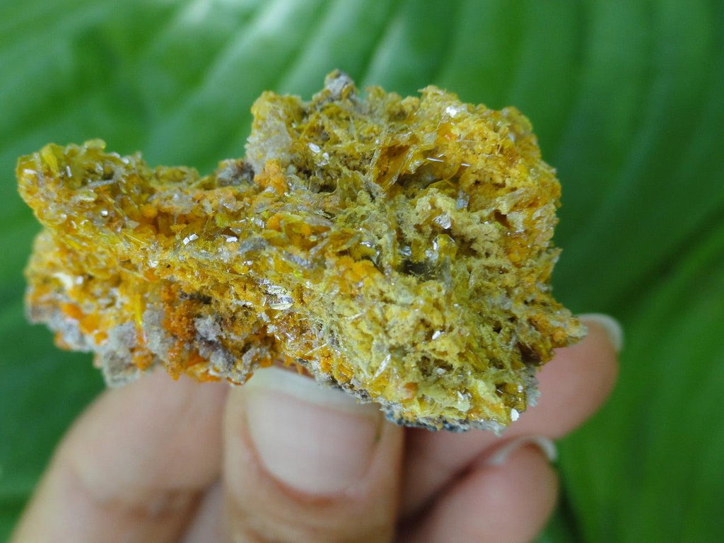 WULFENITE SPECIMEN ~ Stone of Artistic Creativity, Inspiration* - Earth Family Crystals