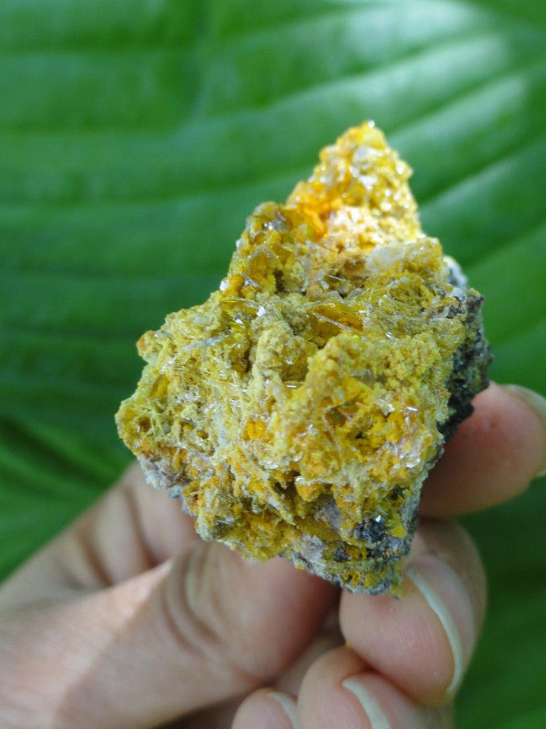 WULFENITE SPECIMEN ~ Stone of Artistic Creativity, Inspiration* - Earth Family Crystals