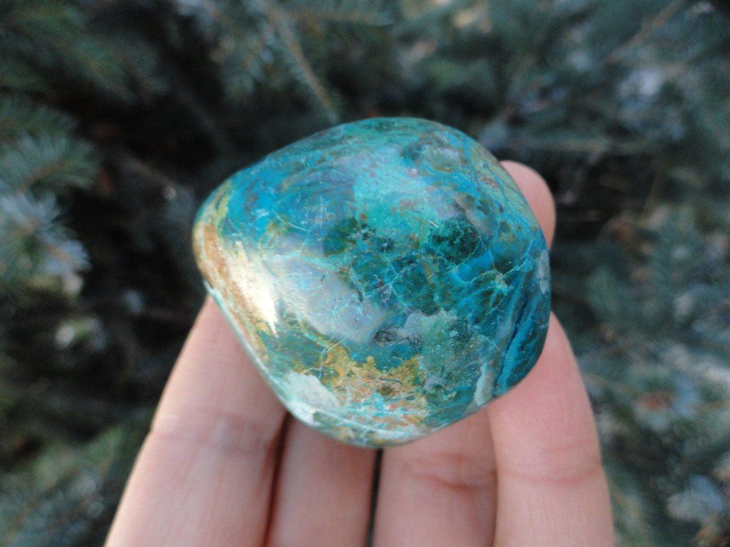 Vibrant GREEN & BLUE CHRYSOCOLLA WORRY STONE - Earth Family Crystals