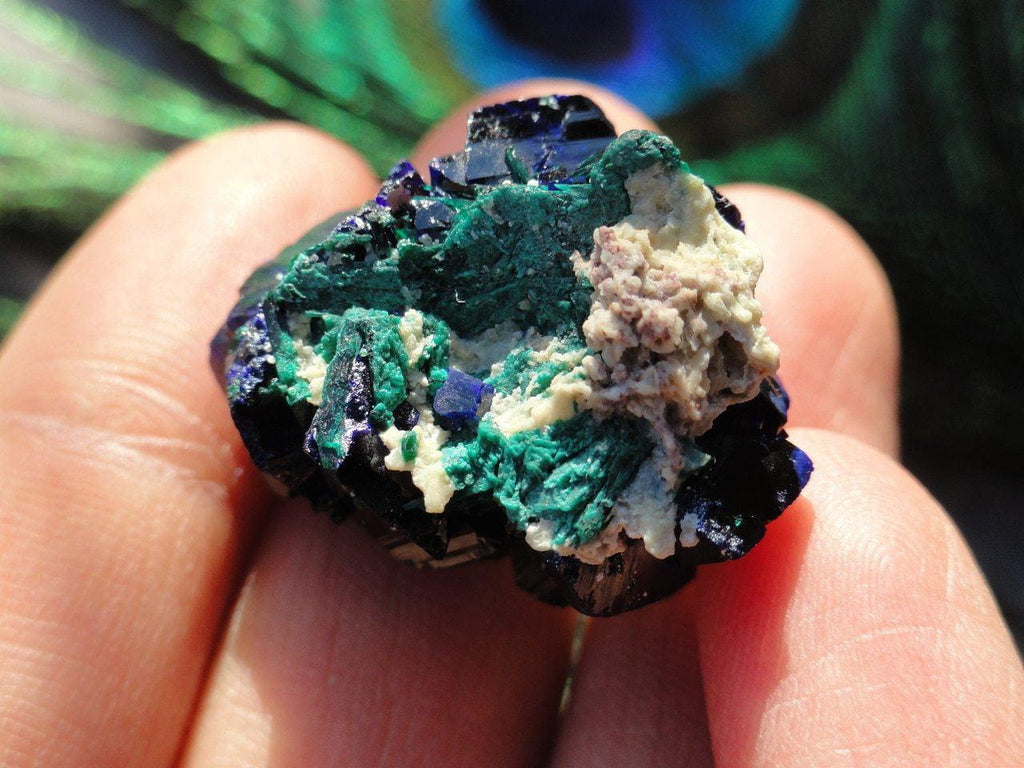 MULTI TERMINATED GEMMY CRYSTAL AZURITE SPECIMEN WITH MALACHITE FROM MILPILLAS MINE, MEXICO - Earth Family Crystals