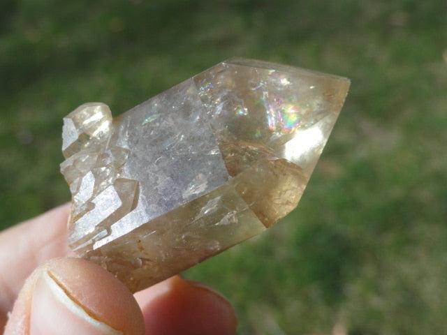 Natural Light Filled  Honey CITRINE POINT - Earth Family Crystals