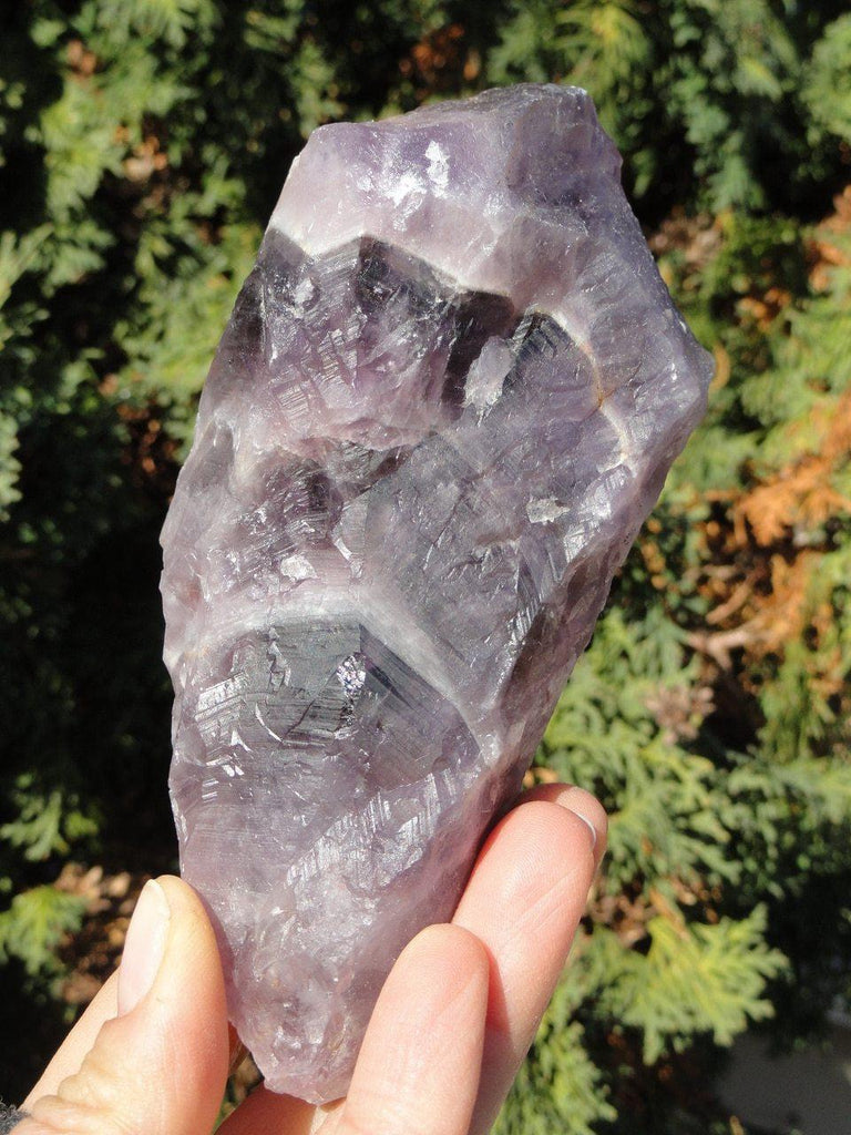 Chunky AURALITE-23 WAND with Record Keepers - Earth Family Crystals