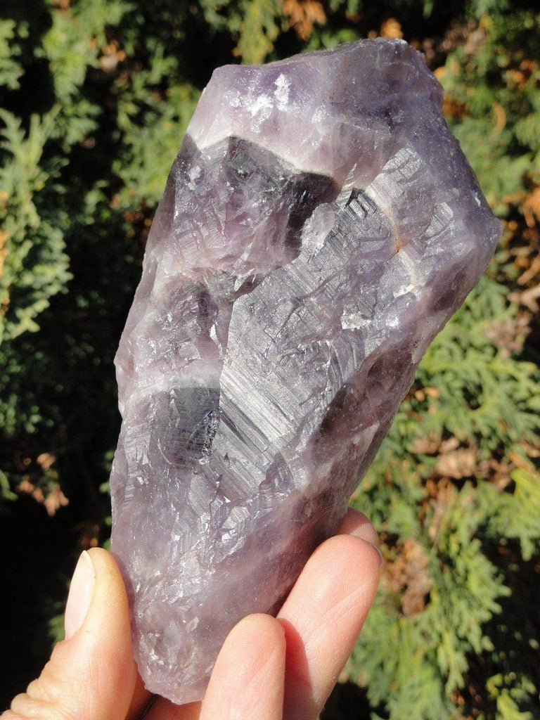 Chunky AURALITE-23 WAND with Record Keepers - Earth Family Crystals