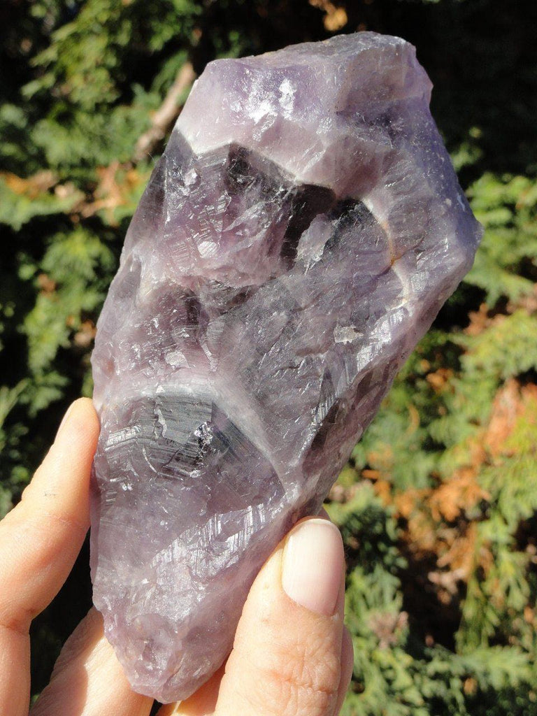 Chunky AURALITE-23 WAND with Record Keepers - Earth Family Crystals