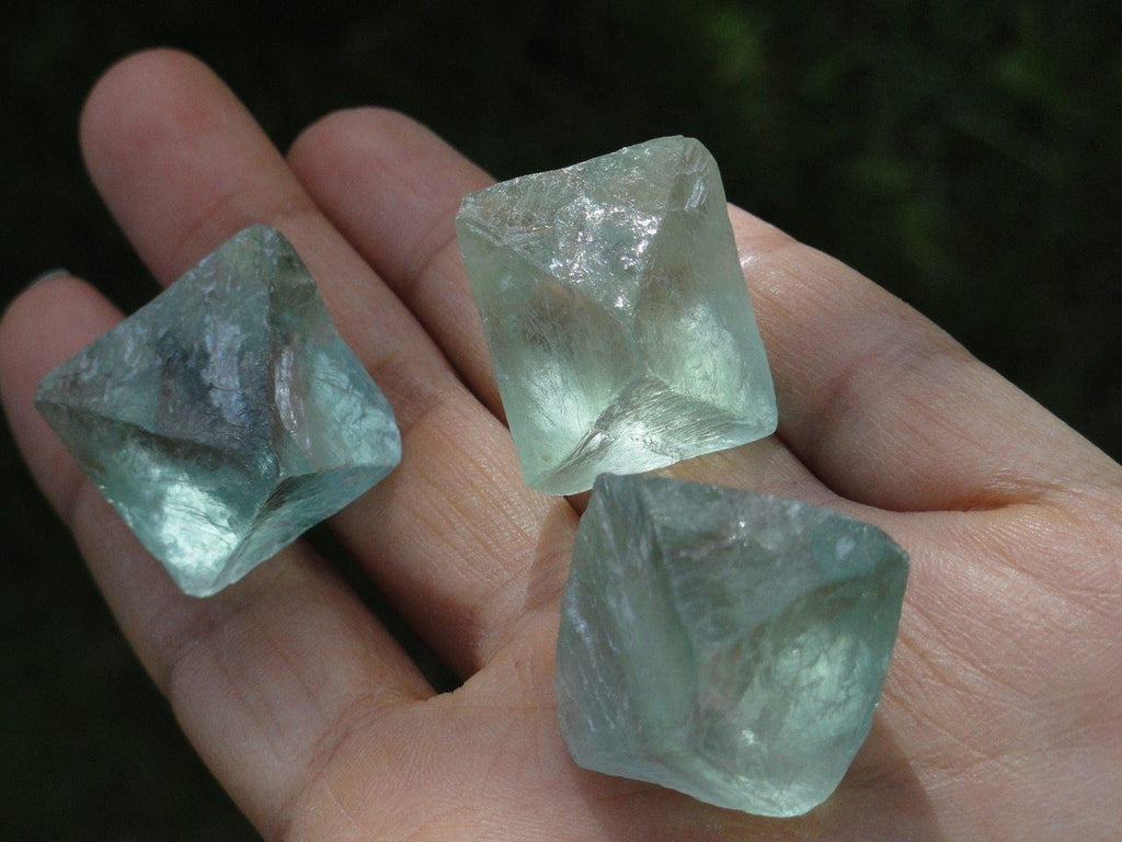 3  GREEN OCTAHEDRON FLUORITE Sacred Geometry Shapes - Earth Family Crystals