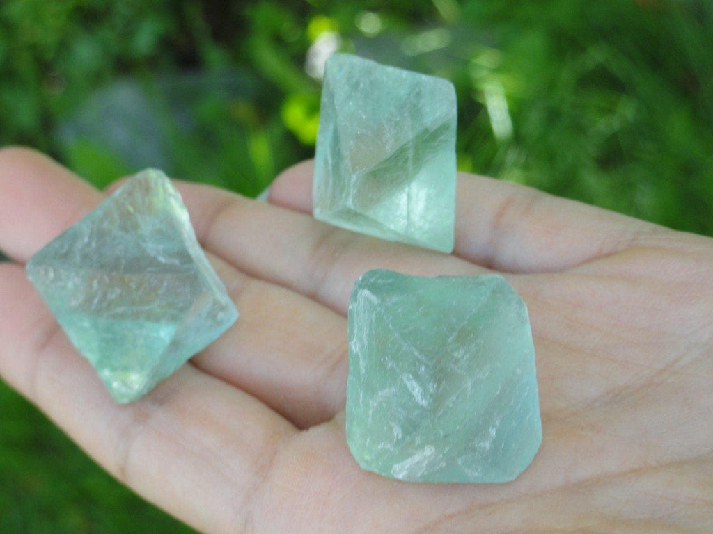 3  GREEN OCTAHEDRON FLUORITE Sacred Geometry Shapes - Earth Family Crystals
