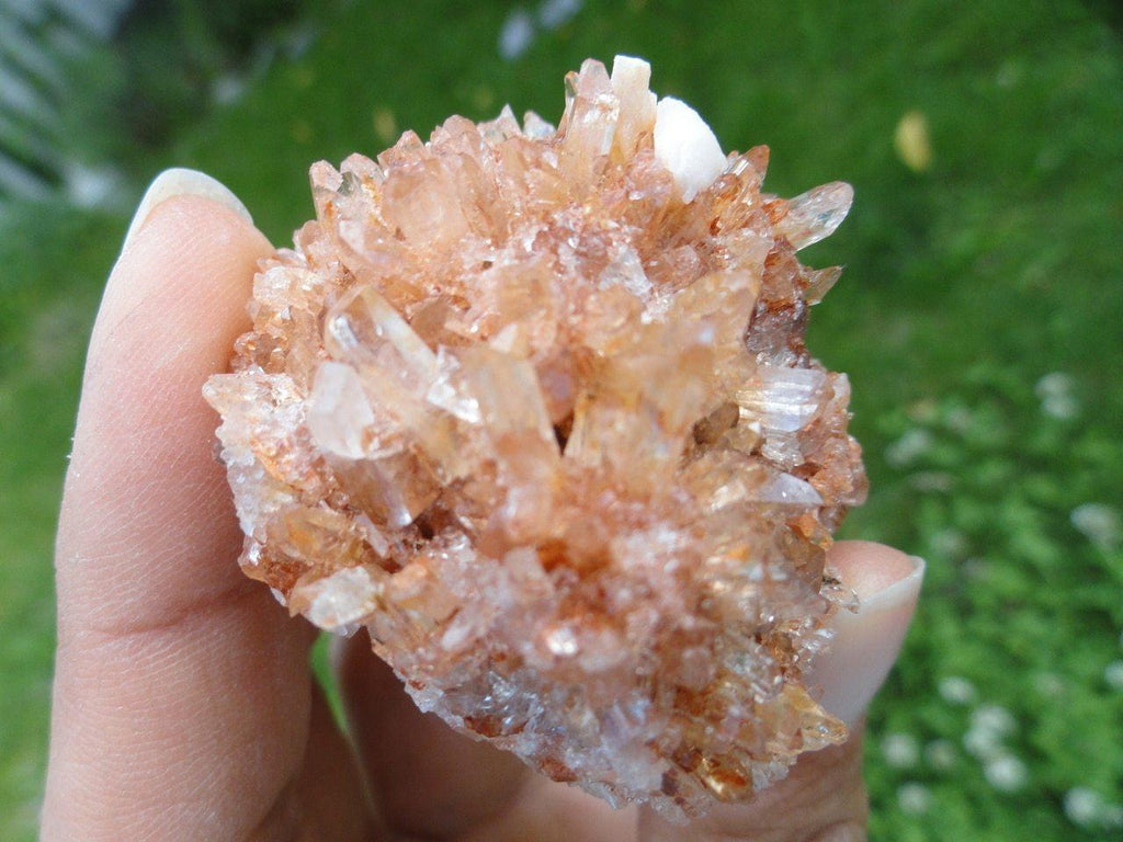 MINI ORANGE CREEDITE CLUSTER FROM MEXICO - Earth Family Crystals