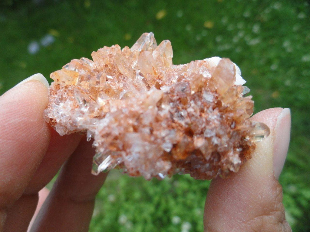 MINI ORANGE CREEDITE CLUSTER FROM MEXICO - Earth Family Crystals