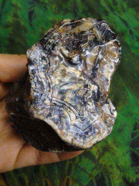 Awe-Inspiring AGATE GEMSTONE IGUANA CARVING - Earth Family Crystals