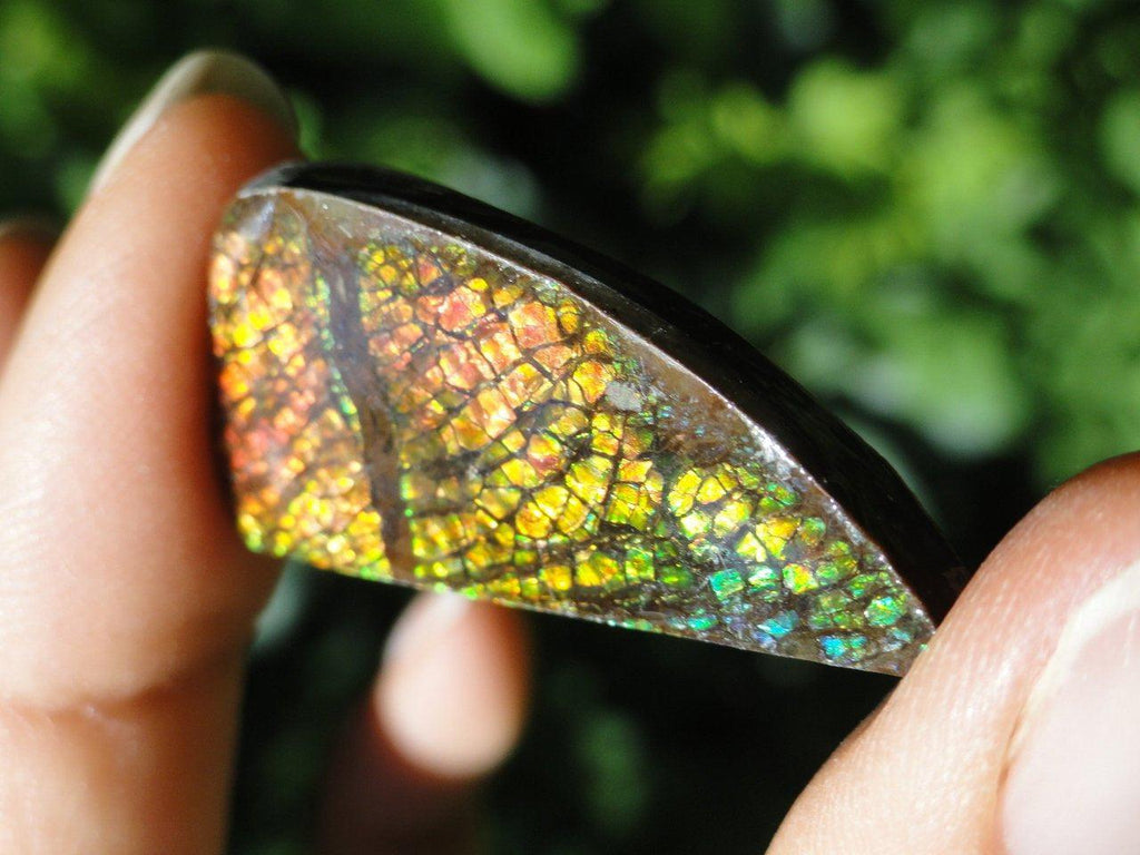 AMMOLITE CABOCHON - PERFECT TO WIRE WRAP - Earth Family Crystals