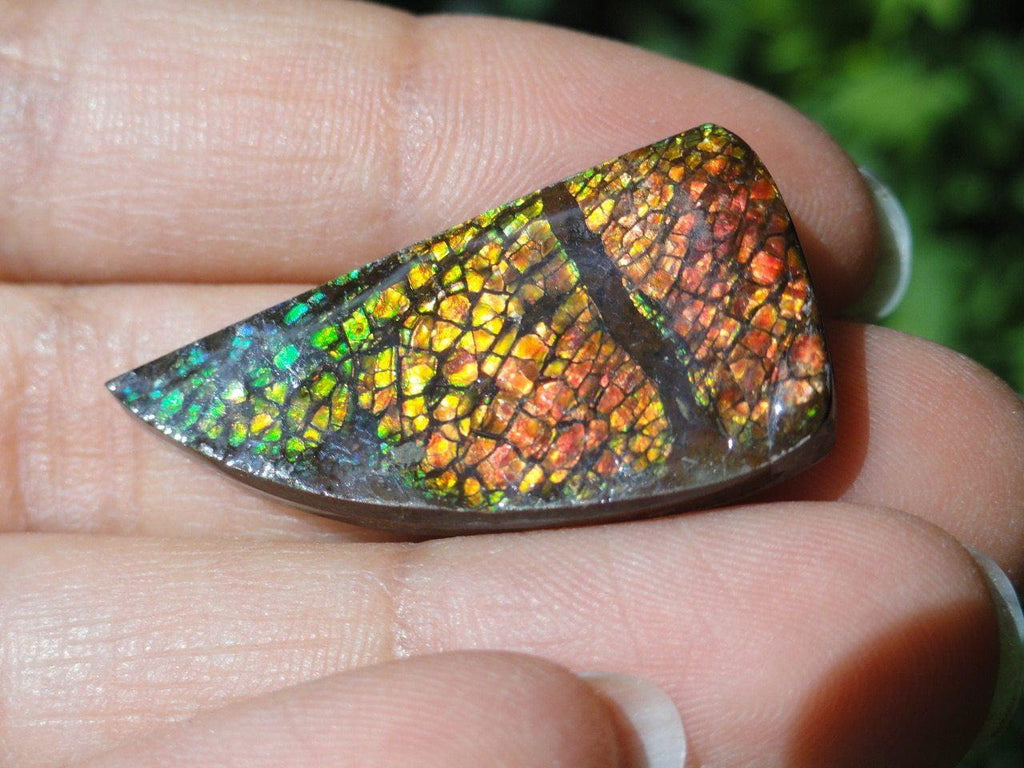 AMMOLITE CABOCHON - PERFECT TO WIRE WRAP - Earth Family Crystals