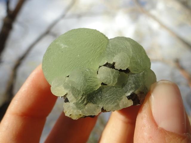 Natural GREEN PREHNITE SPECIMEN With Forest Green Epidote Inclusions - Earth Family Crystals