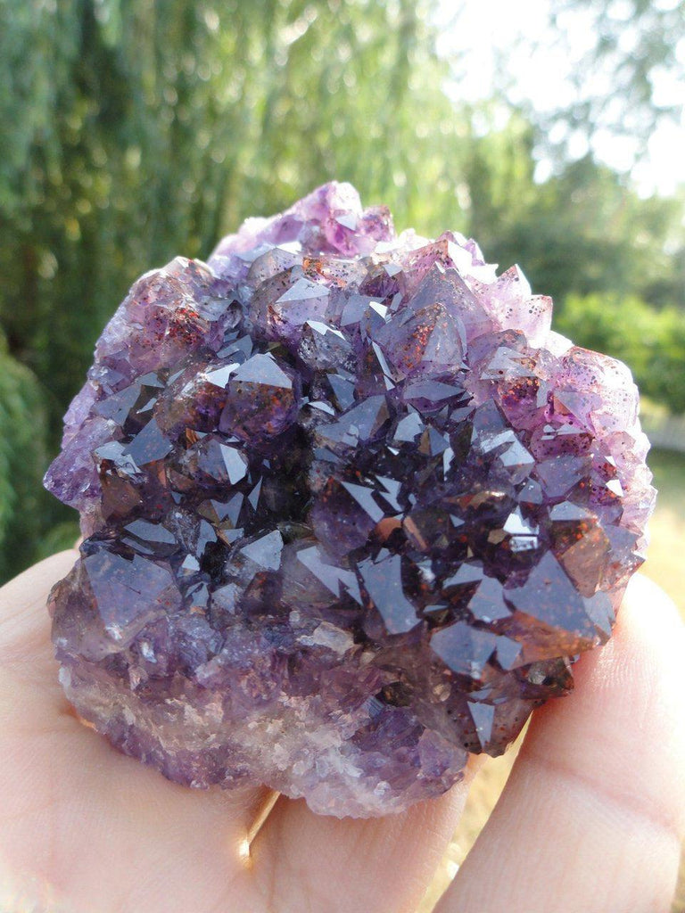 Thunder Bay AMETHYST CLUSTER With Red Hematite Inclusions - Earth Family Crystals