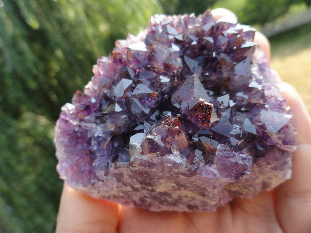 Thunder Bay AMETHYST CLUSTER With Red Hematite Inclusions - Earth Family Crystals