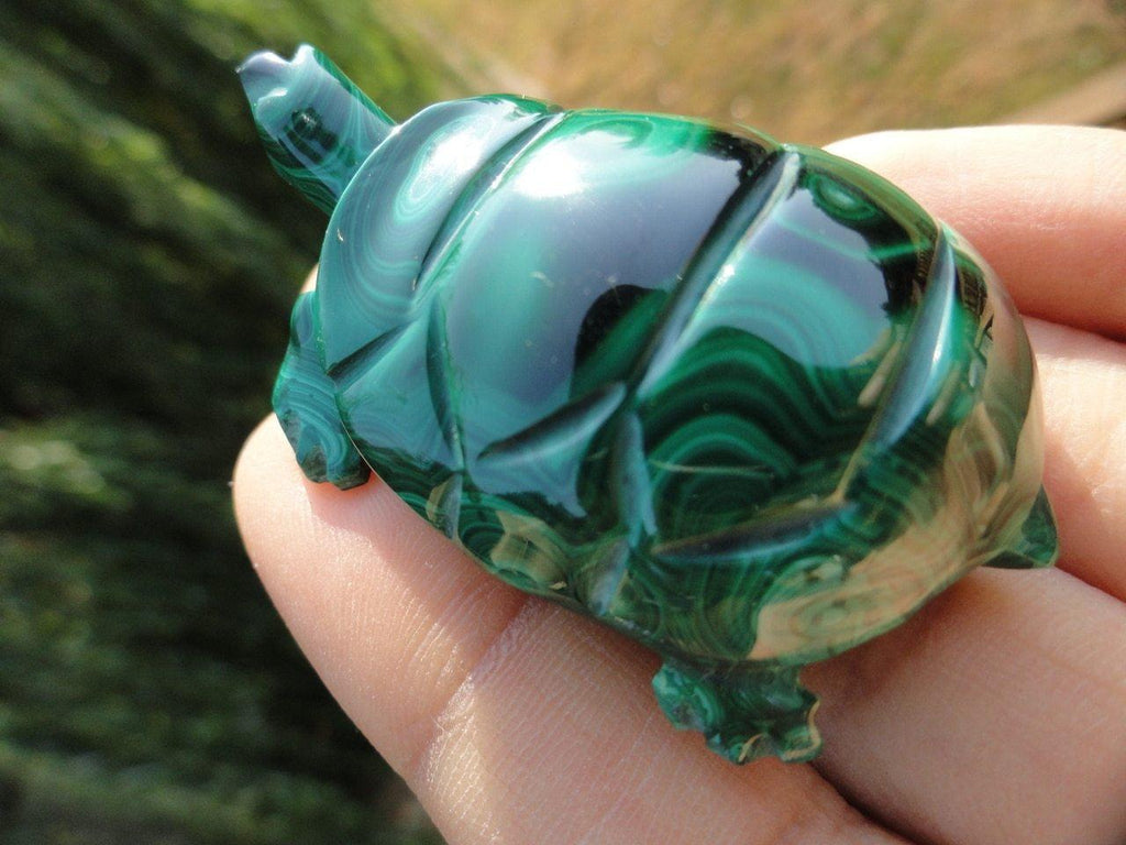 Malachite Turtle carving - Earth Family Crystals