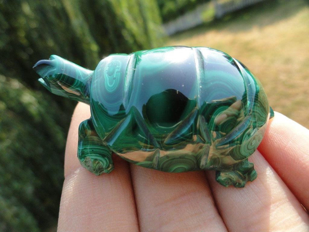 Malachite Turtle carving - Earth Family Crystals