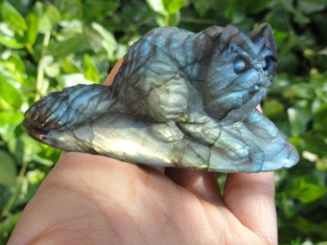 Precious Puffy CAT LABRADORITE GEMSTONE CARVING - Earth Family Crystals