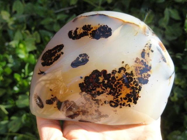 Jumbo Self Standing Picturesque DENDRITIC AGATE DISPLAY SPECIMEN - Earth Family Crystals