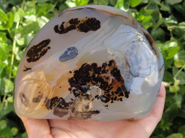 Jumbo Self Standing Picturesque DENDRITIC AGATE DISPLAY SPECIMEN - Earth Family Crystals