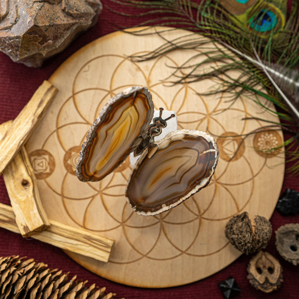Agate Slice Butterfly Display and Rough Stone Setting ~ Spring Vibes and Multiple Colors - Earth Family Crystals