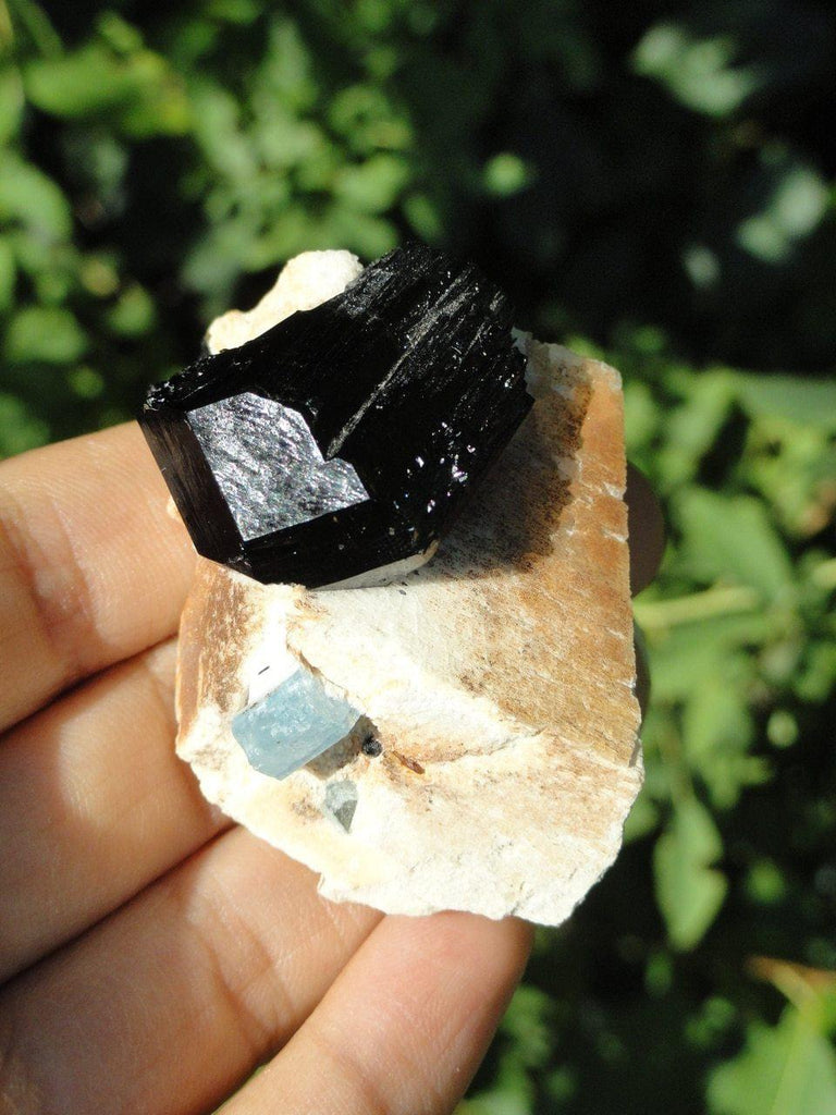 Terminated Black Tourmaline & Extra Blue Aquamarine in Feldspar Matrix From Namibia - Earth Family Crystals
