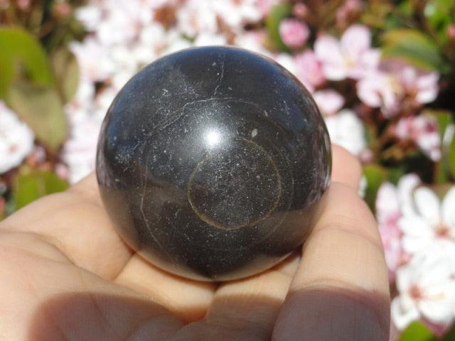 RARE! Magical Master SHAMANITE GEMSTONE SPHERE (Black Calcite) - Earth Family Crystals