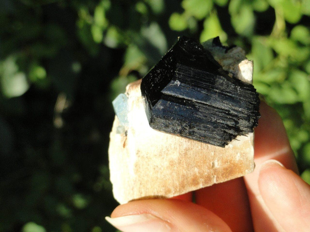 Terminated Black Tourmaline & Extra Blue Aquamarine in Feldspar Matrix From Namibia - Earth Family Crystals