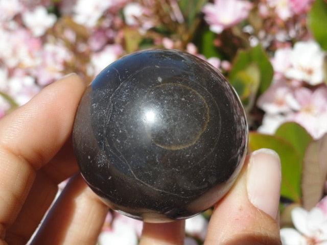 RARE! Magical Master SHAMANITE GEMSTONE SPHERE (Black Calcite) - Earth Family Crystals