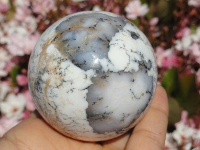 New Find! Divine DENDRITIC AGATE SPHERE From Turkey - Earth Family Crystals