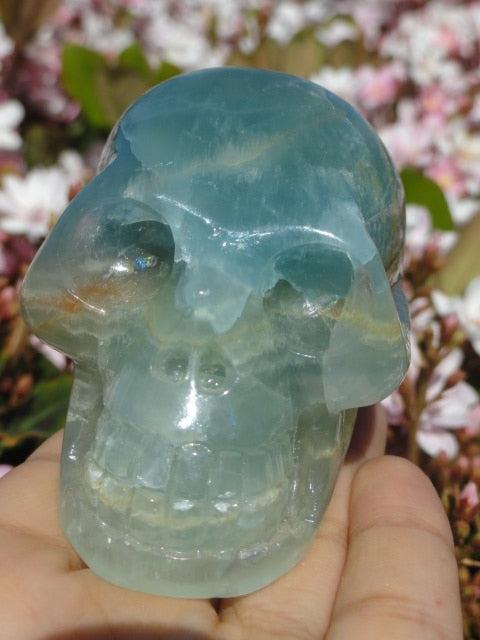 Rare! Magnificent LARGE Blue LEMURIAN AQUATINE CALCITE CRYSTAL SKULL - Earth Family Crystals