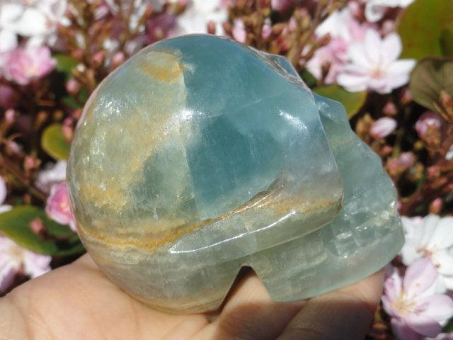 Rare! Magnificent LARGE Blue LEMURIAN AQUATINE CALCITE CRYSTAL SKULL - Earth Family Crystals