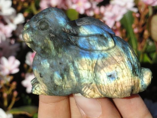 Adorable Flashy LABRADORITE RABBIT CARVING - Earth Family Crystals