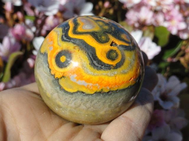 STRIKING YELLOW BUMBLE BEE JASPER Sphere * - Earth Family Crystals