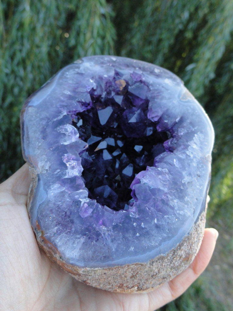 Dark Purple Uruguay AMETHYST GEODE SPECIMEN* - Earth Family Crystals