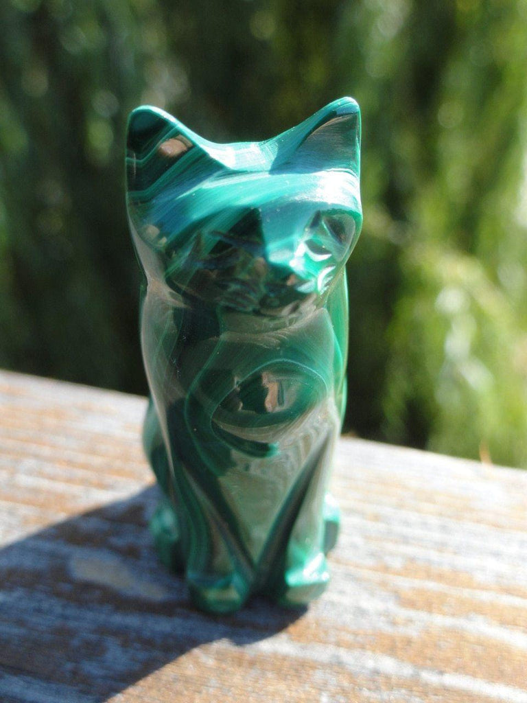 Malachite cat Carving - Earth Family Crystals