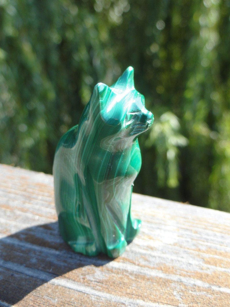 Malachite cat Carving - Earth Family Crystals