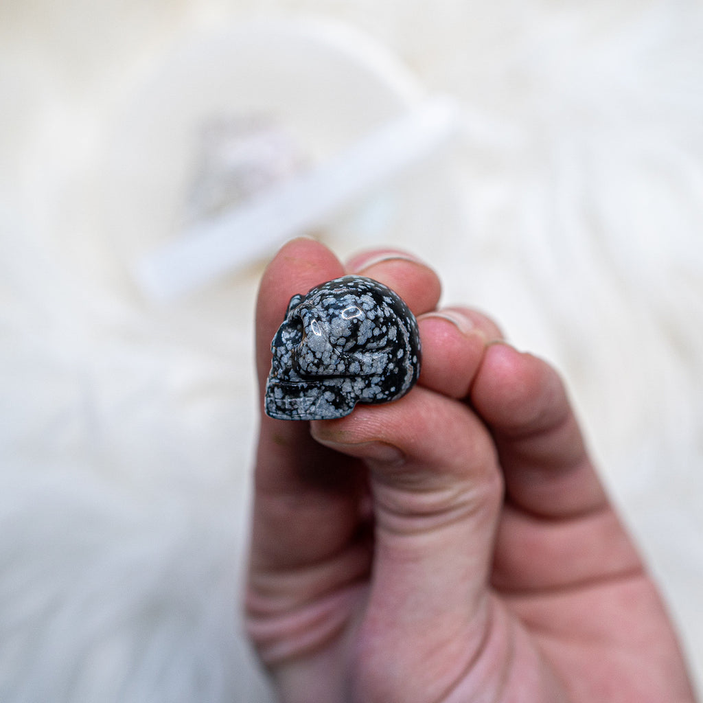Snowflake Obsidian ~ Mini Skull Carving ~ Awaken Conciousness - Earth Family Crystals