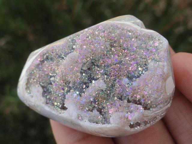 Sale Fossilized Druzy Aura Shell Crystal rare Spiralite