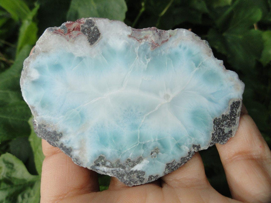 Blue LARIMAR SLICE Specimen - Earth Family Crystals