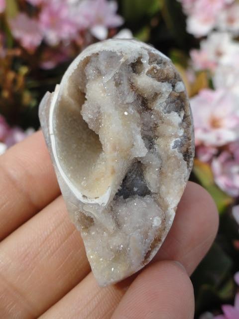 Unique CRYSTAL DRUZY FILLED SPIRALITE GEMSHELL** - Earth Family Crystals