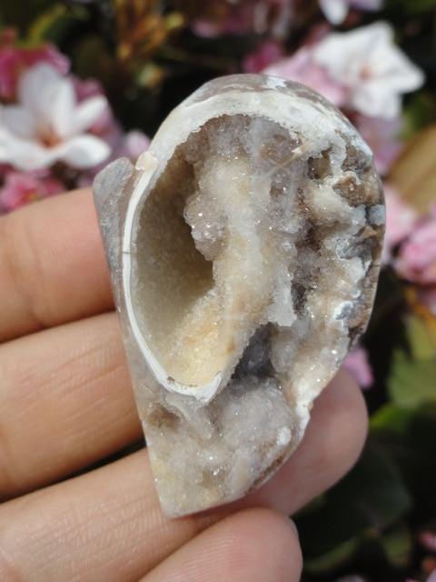 Unique CRYSTAL DRUZY FILLED SPIRALITE GEMSHELL** - Earth Family Crystals