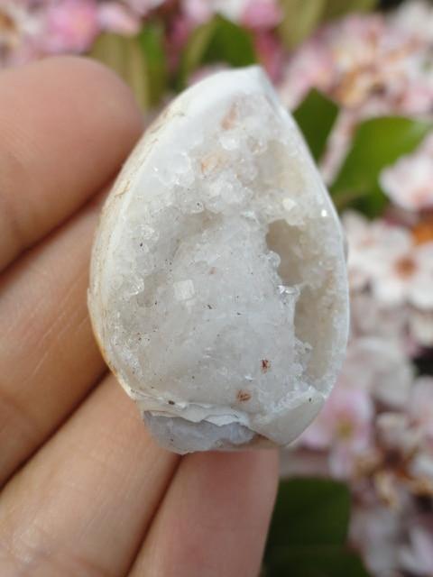 White Druzy Filled SPIRALITE GEMSHELL* - Earth Family Crystals