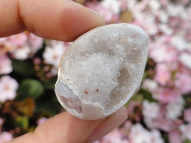 White Druzy Filled SPIRALITE GEMSHELL* - Earth Family Crystals