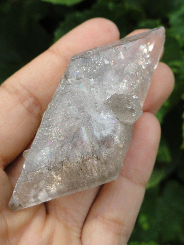 Rare Canadian CLEAR SELENITE Crystal From BC* - Earth Family Crystals