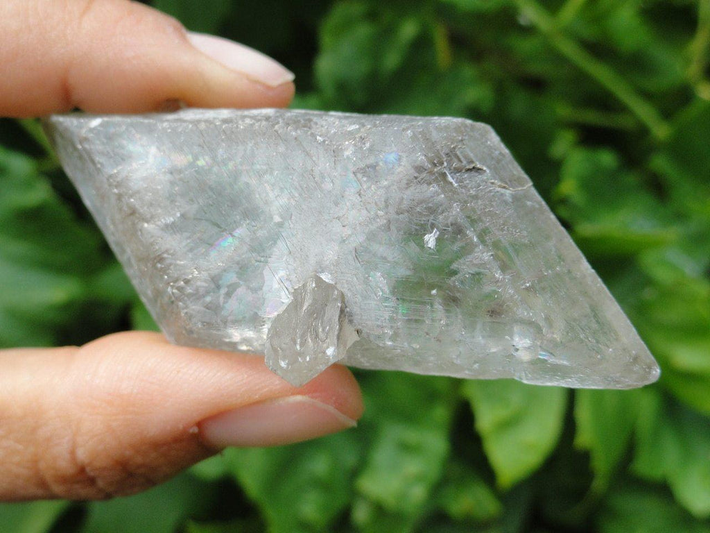 Rare Canadian CLEAR SELENITE Crystal From BC* - Earth Family Crystals