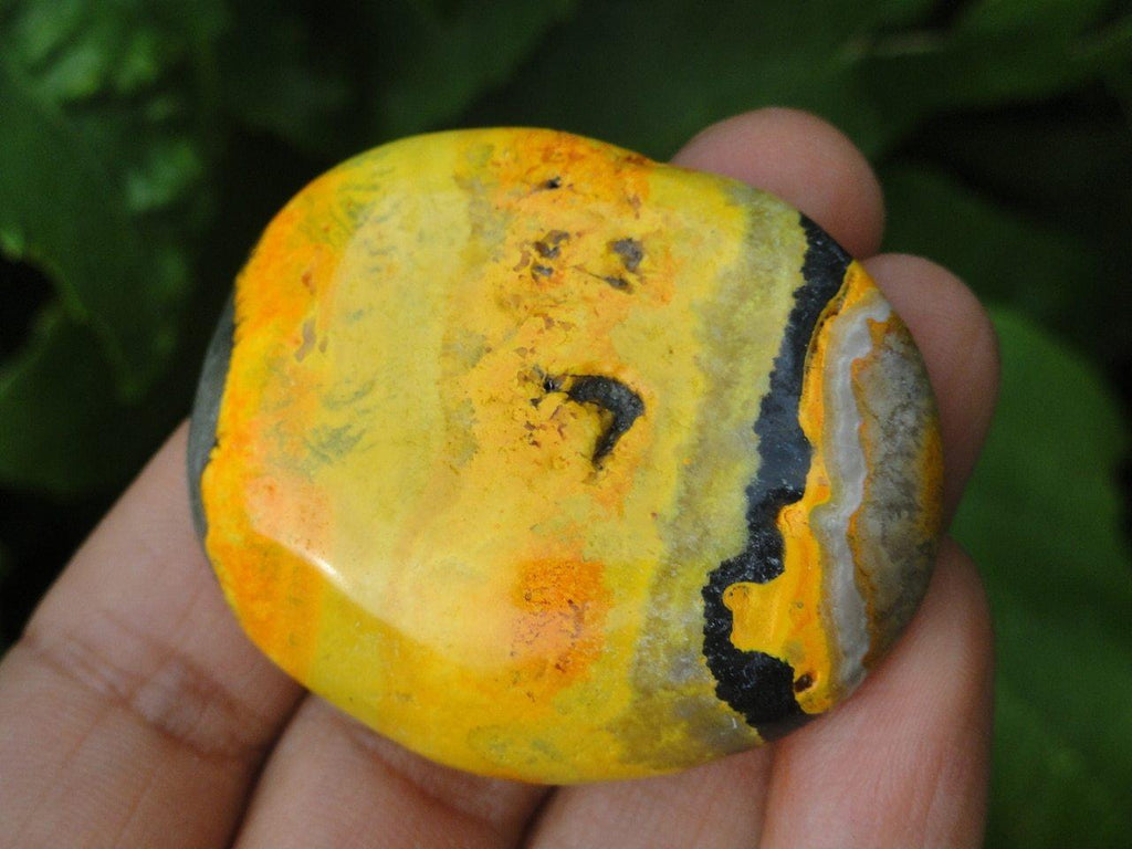 BUMBLE BEE JASPER Palm Stone - Earth Family Crystals