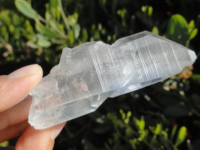 Natural LEMURIAN SEED QUARTZ POINT From Brazil - Earth Family Crystals